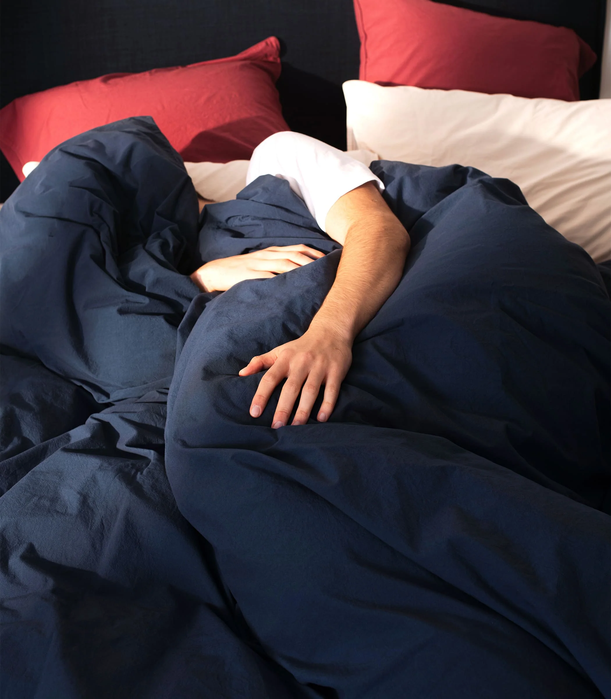 Drap housse en percale de coton - Image 7